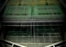 Foto 5 - El cantalpinés David Martín, finalista del concurso de fotografías ‘Semeyés La sidra’ de...