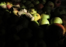 Foto 3 - El cantalpinés David Martín, finalista del concurso de fotografías ‘Semeyés La sidra’ de...