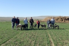 Partida de galgeros de Cantalapiedra