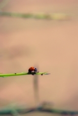 Foto 6 - La delicadeza que se esconde en el silencio de las cosas