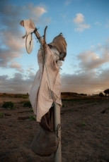 Foto 5 - La delicadeza que se esconde en el silencio de las cosas
