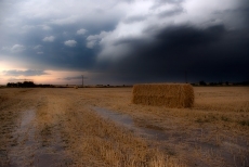 Foto 4 - La delicadeza que se esconde en el silencio de las cosas
