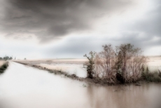 Foto 3 - La delicadeza que se esconde en el silencio de las cosas