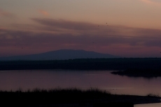 Foto 5 - Atardecer en Riolobos