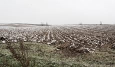 Estampas de la tímida nevada en Cantalpino
