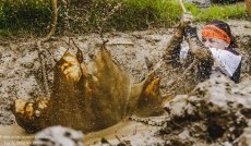 La Farinato Race sorprende a Gij&oacute;n en una multitudinaria carrera de obst&aacute;culos con 1.200...