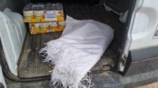 Foto 5 - Muere Aura, la galga de 4 meses abandonada en un contenedor de basura con signos de maltrato