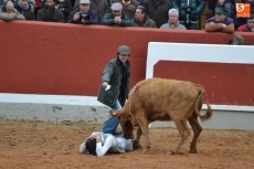 Foto 6 - Las vacas de Agustínez permiten ver qué bolsinistas están en mejores condiciones