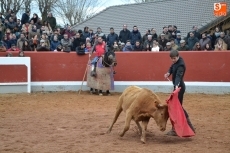Foto 3 - Las vacas de Agustínez permiten ver qué bolsinistas están en mejores condiciones