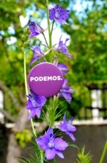 Foto 4 - Es la hora de la gente