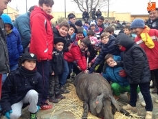 Foto 5 - Bernard Schuster e Iván Helguera se convierten en Matanceros de Honor de Guijuelo