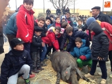 Foto 4 - Bernard Schuster e Iván Helguera se convierten en Matanceros de Honor de Guijuelo