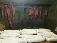 Foto 3 - La matanza tradicional: una costumbre en extinción