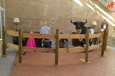 Foto 4 - El Parador acoge un toro que se lidió en Las Ventas