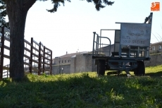 Foto 3 - La construcción de los tablaos está en plena recta final