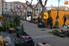 Foto 5 - El Mercado de los Martes, también con aires carnavaleros