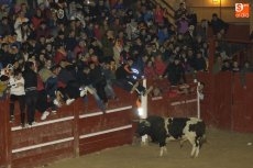Foto 5 - La primera capea nocturna pone de manifiesto la falta que hacían las charangas