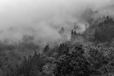 Foto 6 - La fotógrafa Aran Blanche expone su ‘Percepción Onírica’