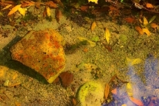 Foto 5 - La fotógrafa Aran Blanche expone su ‘Percepción Onírica’