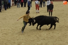 Foto 6 - El público mirobrigense se reconcilia con los maletillas