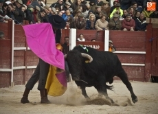 Foto 6 - Querer contra el viento 