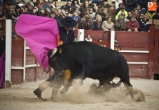 Foto 5 - Querer contra el viento 
