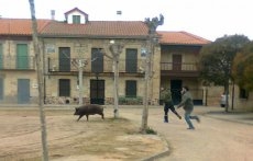 Foto 4 - San Muñoz celebra el Carnaval del Cerdo