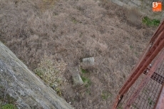 Foto 4 - Los antiguos Jardines Bolonia, siguiente estación de limpieza