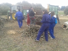 Foto 3 - Los Quintos de Cantalpino cumplen los ritos tradicionales