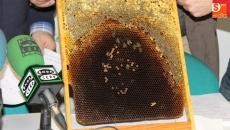 Foto 3 - UPA-Coag exige el certificado de los productos apícolas para diferenciarlos de los extranjeros