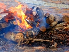 Foto 5 - La cuarta edición de la Matanza Típica rinde tributo a la tradición gastronómica