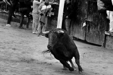 Foto de Jesús Parra