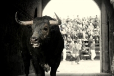 Foto de Manuel García