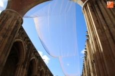 Foto 5 - La red antipalomas de 2.000 metros cuadrados comienza a cubrir el interior de la Basílica...