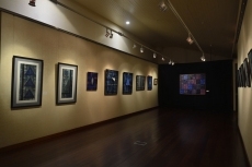 Foto 4 - Carlos García Medina expone en Sabugal sus ‘Signos de Identidad’