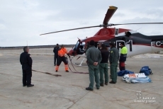 La nieve obliga a suministrar alimento al ganado en helicóptero