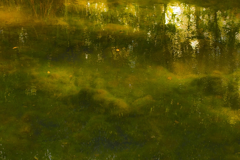 Sue&ntilde;os | Imagen 1