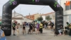 Foto 2 - Buena participación en el canicross benéfico de El Hocico celebrado en Aldeatejada