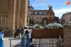 Foto 2 - La Borriquilla procesiona en compañía de cientos de mirobrigenses