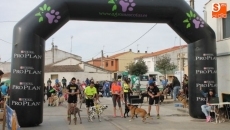Foto 4 - Buena participación en el canicross benéfico de El Hocico celebrado en Aldeatejada