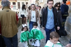 Foto 6 - Niños y ramos tiñen de verde el comienzo de la Semana Santa 