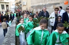 Foto 3 - Niños y ramos tiñen de verde el comienzo de la Semana Santa 