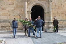 Foto 5 - Con el ramo de laurel hacia la Semana de Pasión