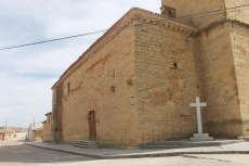 Foto 3 - Con el ramo de laurel hacia la Semana de Pasión