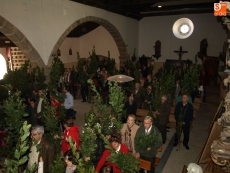 Foto 6 - El Domingo de Ramos más musical se vivió en Galinduste