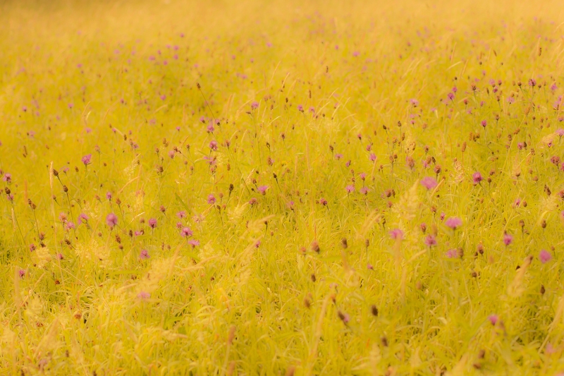 Ni&ntilde;ez encantada | Imagen 1