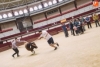 Foto 2 - Dos toros recorrerán las calles de la villa el 11 de abril por el V Centenario