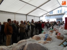 Foto 6 - La cofradía de la Santa Vera Cruz celebra su tradicional Tálamo