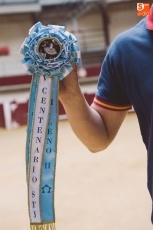 Foto 3 - Dos toros recorrerán las calles de la villa el 11 de abril por el V Centenario