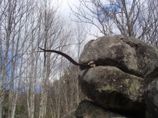 Foto 5 - Más de 300 trabajos presentados al concurso de fotografía 'Mirando' de la Salina